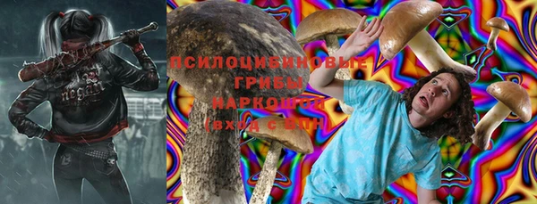 прущий лед Богородицк